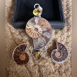 Amazing custom made Ammonite Fossil Jewelry Set with Citrine Accents